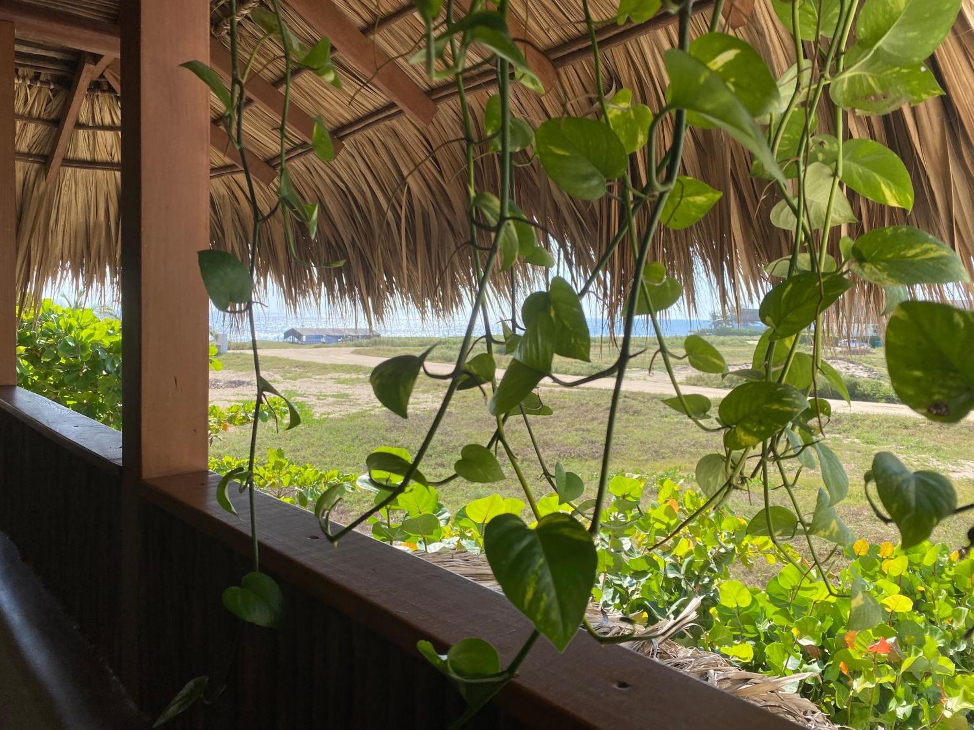 El Origen Villas & Spa-Puerto Escondido Пуерто Ескондидо Екстериор снимка