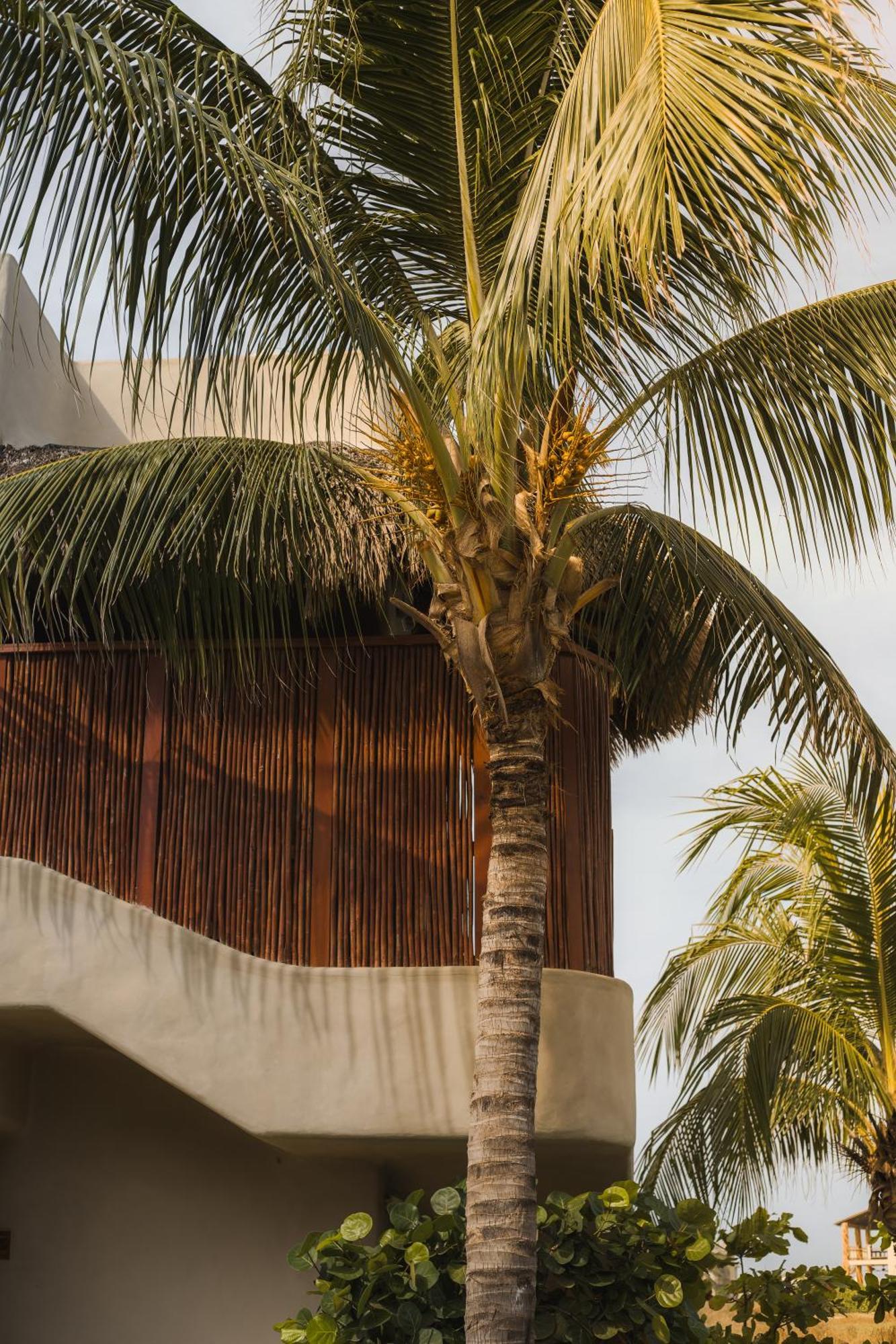 El Origen Villas & Spa-Puerto Escondido Пуерто Ескондидо Екстериор снимка